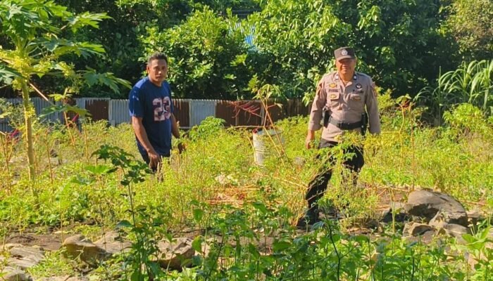 Dukung Ketahanan Pangan Lokal, Polsek Kokas Budidaya Berbagai Jenis Sayuran