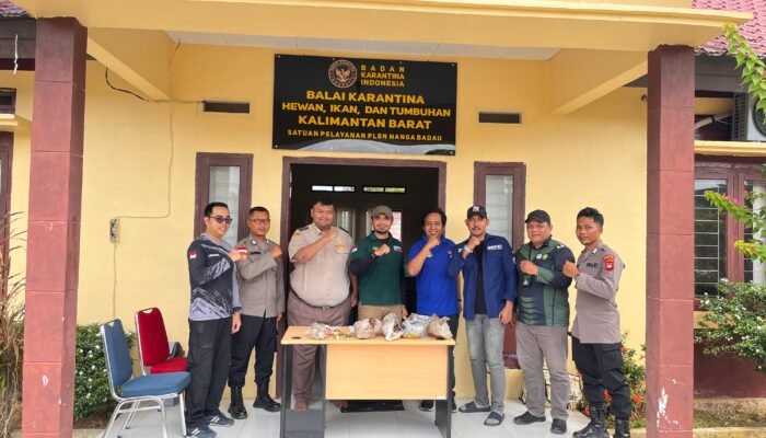 Lindungi Keanekaragaman Hayati, Karantina Kalbar Serahkan Media Pembawa Ilegal ke KSDAE