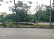 Truk Fuso Hantam Pohon di Median Jalan, Warga Palembang Berjibaku Evakuasi