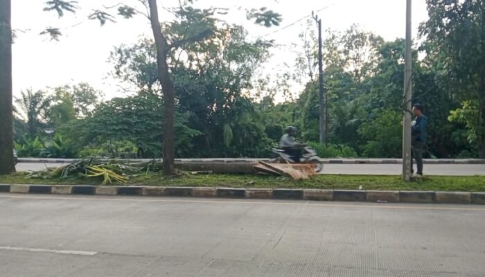 Truk Fuso Hantam Pohon di Median Jalan, Warga Palembang Berjibaku Evakuasi