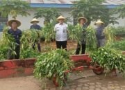 Lapas Kelas IIA Jambi Panen 300 Ikat Kangkung