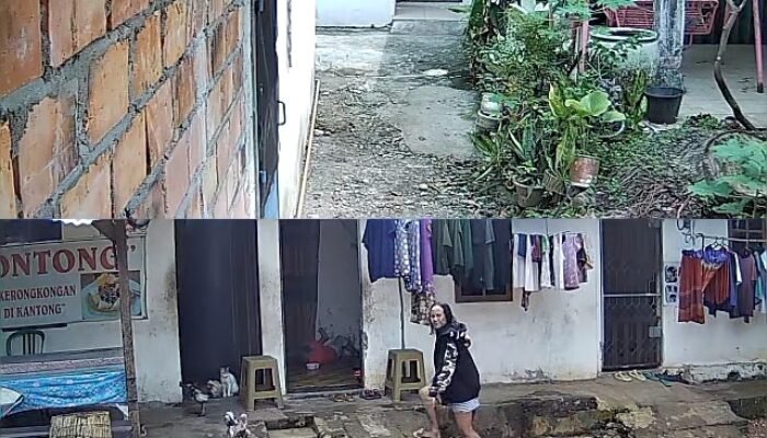 Viral, Perempuan Muda di Palembang Nekat Mencuri di Rumah Bedeng