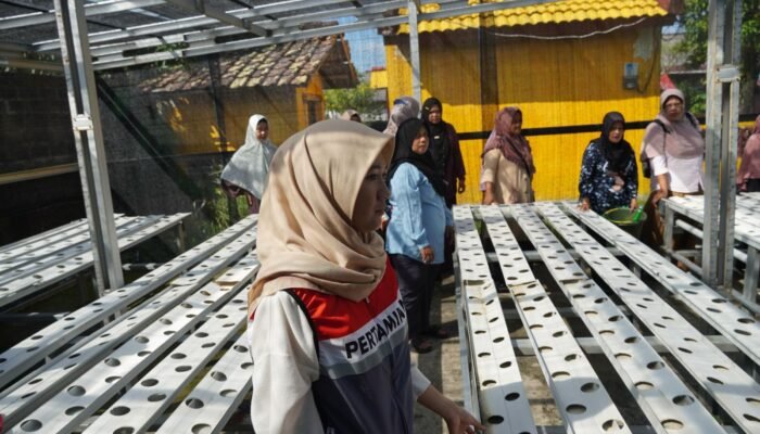 Dukung Ketahanan Pangan dan Lingkungan, Pertamina Gelar Pelatihan Hidroponik dan Budidaya Lele di Kelurahan Lontong Pancur