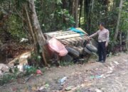 Hilang Kendali, Truk Toyota Dina Tabrak Pohon