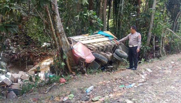 Hilang Kendali, Truk Toyota Dina Tabrak Pohon