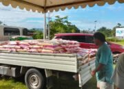 Pemprov Sulbar Gelar Pasar Murah, Tekan Kenaikan Harga Pangan di Tengah Lonjakan Harga Beras