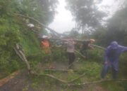 Sinergitas TNI-Polri dan Warga Evakuasi Pohon Tumbang di Karanganyar Pekalongan