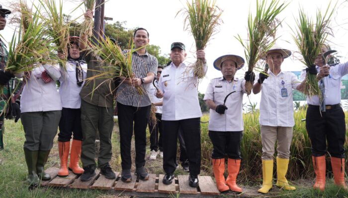 Wagub Sulbar Arahkan Alih Fungsi Lahan Sawit Untuk Cetak Sawah Baru