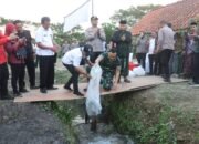 Tanam Jagung Serentak Kuartal III, Forkopimda Sidoarjo dan Pesantren Al Amanah Bersinergi Dukung Swasembada Pangan