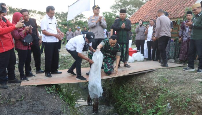 Tanam Jagung Serentak Kuartal III, Forkopimda Sidoarjo dan Pesantren Al Amanah Bersinergi Dukung Swasembada Pangan