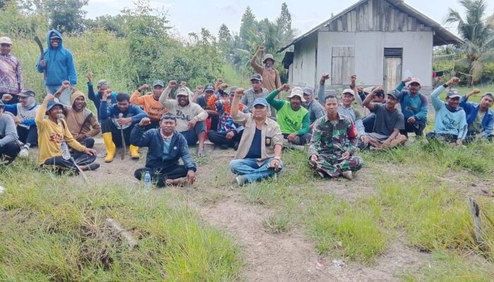 Plasma Gagal Warga Desa Gajah Makmur Duduki Lahan Sendiri