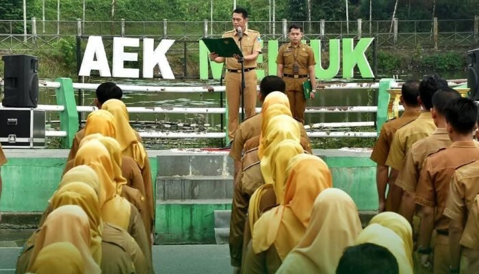 Pemerintah Kabupaten Batang Hari Lantik 1.077 PPPK Formasi 2024 Tahap Pertama