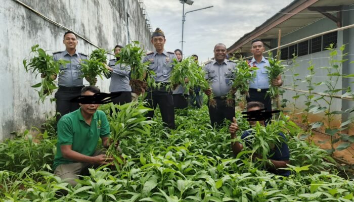 Kepala Rutan Kelas I Palembang Panen Kacang Panjang dan Kangkung Bersama Warga Binaan