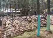 Pembangunan Proyek Breakwater di Pelabuhan Muara Indah Tuai Kritik dari LSM Harimau