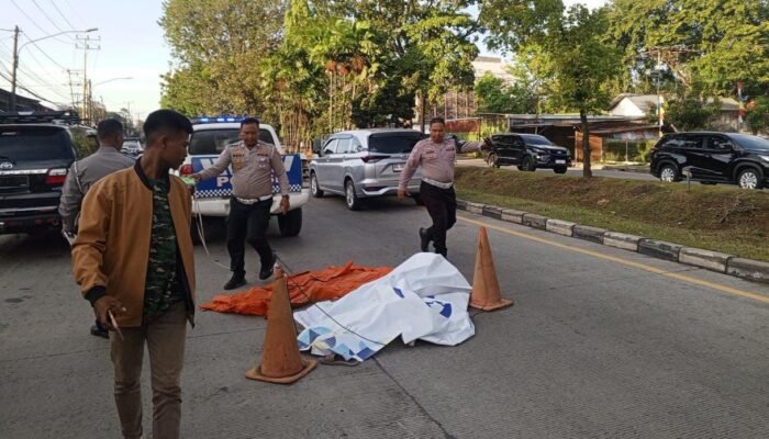 Usai Antar Anak Sekolah, IRT Tewas Ditabrak Truk