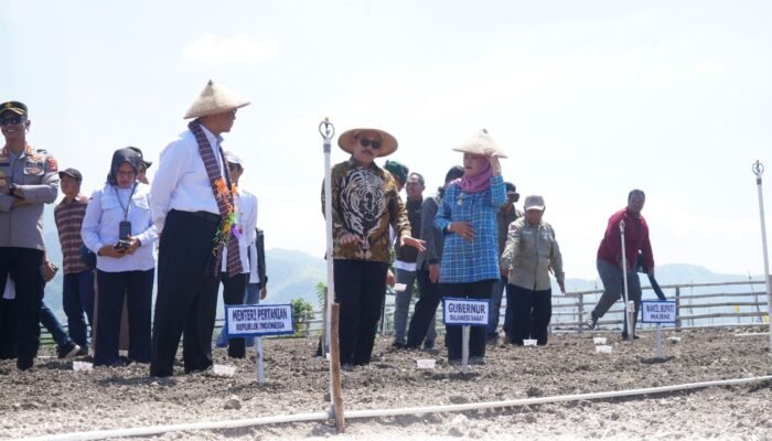 Gubernur Sulbar dan Mentan Amran Komitmen Kembangkan Bawang Merah di Majene