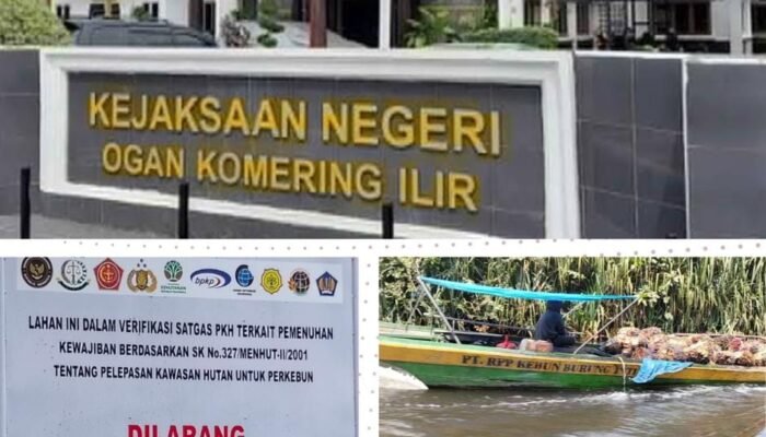 Kejari OKI Bungkam Hukum Tumpul di Kebun Sengketa