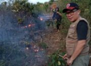 20 Hektar Kebon Sawit Siap Panen di Empat Lawang Dilalap Sijago Merah