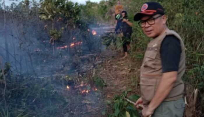 20 Hektar Kebon Sawit Siap Panen di Empat Lawang Dilalap Sijago Merah