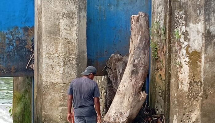 Respons Cepat, Gangguan Irigasi di Bendung Bantalaka Pasangkayu Selesai Ditangani