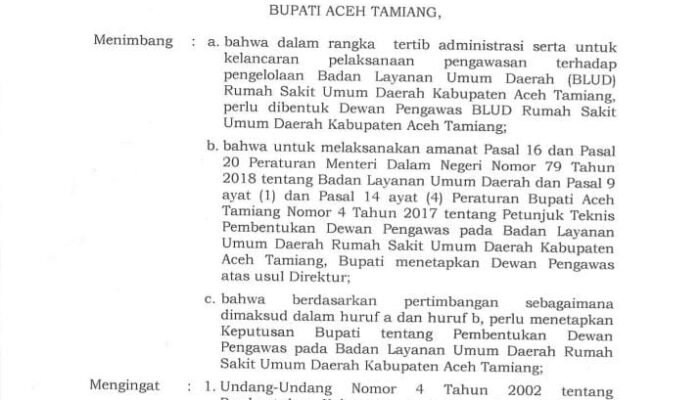Mengulik “Kinerja” Tugas Dewan Pengawas RSUD Aceh Tamiang