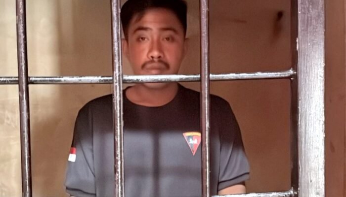 Tim Resmob Polresta Mamuju Amankan Brimob Gadungan Diduga Setubuhi Anak di Bawah Umur