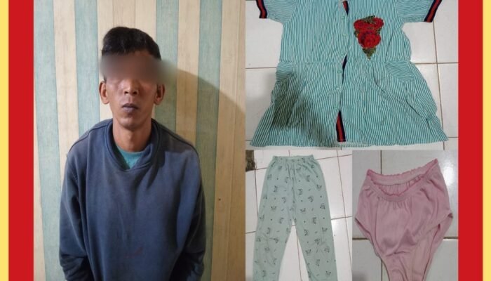 Cabuli Anak di Bawah Umur, Petani di SaLimpaung di Tangkap Polisi