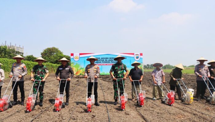 Forkopimda Sidoarjo Turun Kesawah, Tanam Jagung Serentak di Lahan Ponpes Bumi Sholawat