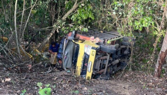 Hindari Motor, Truk Pengangkut Telur Ayam Terjun Kejurang