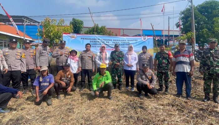 Dukung Ketahanan Pangan, Polsek Gedangan Gelar Tanam Jagung Serentak