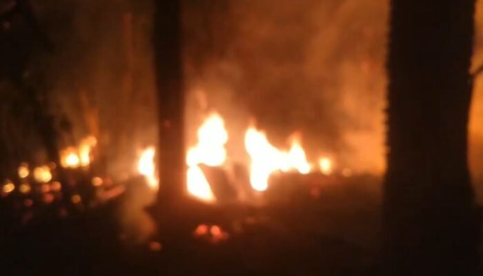 Kebakaran Hebat di Kedungwaru Tulungagung, Tempat Produksi Biliar Ludes