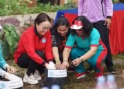 TP PKK Kapuas Hulu Gelar Gerakan Tanam Cabai Serentak
