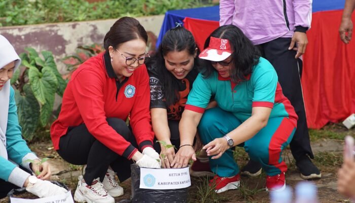 TP PKK Kapuas Hulu Gelar Gerakan Tanam Cabai Serentak