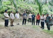 Kawasan Hutan Konservasi TNGL Beralih Fungsi Jadi Kebun Sawit, Armia Pahmi : Tindak Tegas Perambah Hutan