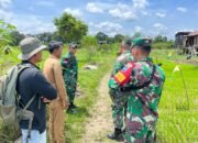 Gaya Blusukan Sang Dandim di Lahan Oplah Kapuas Hulu, Mimpi Ketahanan Pangan
