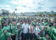 Gubernur Sulbar dan Bupati Mamuju Bagikan Beras Gratis untuk Ratusan Ojol, Driver Ojol : Komitmen Jaga Keamanan Daerah