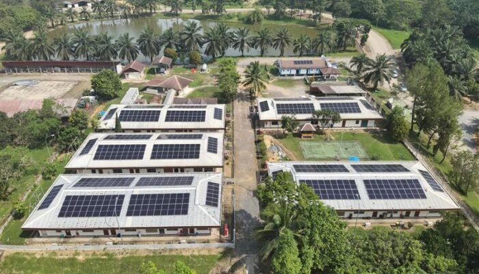 Pasang 1.500 Panel Surya di Blok Corridor, MedcoEnergi Kurangi Emisi hingga 934 Ton CO2e Per Tahun