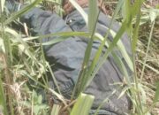 Penemuan Mayat di Pinggir Jalan Lintas Timur Gegerkan Warga Bayung Lencir