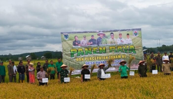Bupati Batang Hari Hadiri Panen Raya dan Serahkan Benih untuk Percepatan Tanam Kedua