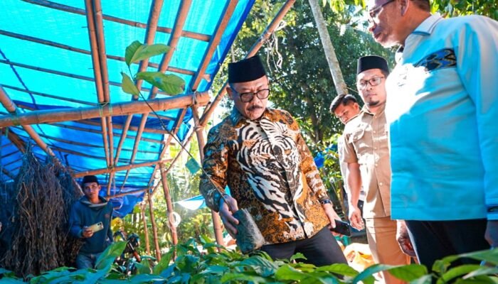 Gubernur Suhardi Duka Cek Langsung Bantuan Kambing, Bibit Kakao, dan Pupuk di Polman