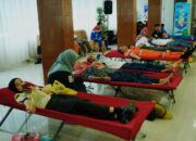 780 Kantong Darah Terkumpul, Bukti Pertamina Hulu Rokan Zona 1 Tebarkan Kebaikan Bersama PMI
