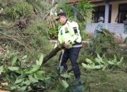 Kapolres Pekalongan Pimpin Langsung Evakuasi dan Pembersihan Pasca-Bencana di Petungkriyono