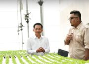 Komitmen Majukan Pertanian: Pemkab Purwakarta dan Sweet Greens Indonesia Siapkan Pelatihan Petani Muda