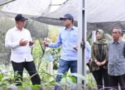 OJK Sumsel Kunjungi Kebun Kopi Raden Kuning Pagar Alam