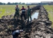Sekretaris DPW Jawa Tengah Bersama TNI Kembangkan Empang Budidaya Ikan di Bumirejo, Pemalang