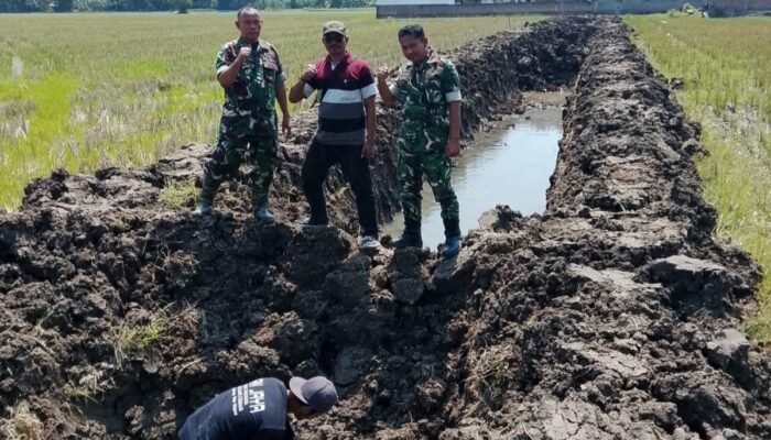 Sekretaris DPW Jawa Tengah Bersama TNI Kembangkan Empang Budidaya Ikan di Bumirejo, Pemalang