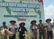 Kapuas Hulu Pacu Swasembada Jagung Lewat Panen Raya dan Kolaborasi Polri