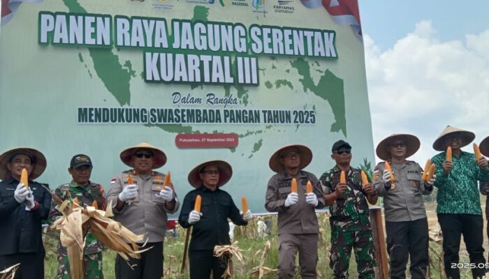 Kapuas Hulu Pacu Swasembada Jagung Lewat Panen Raya dan Kolaborasi Polri