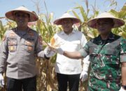 Bupati Subandi dan Kapolresta Sidoarjo Kompak Dukung Panen Raya Jagung Program Polri Kuartal III 2025