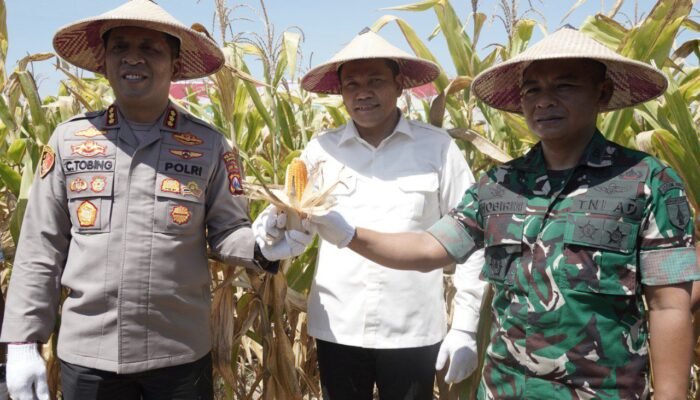 Bupati Subandi dan Kapolresta Sidoarjo Kompak Dukung Panen Raya Jagung Program Polri Kuartal III 2025